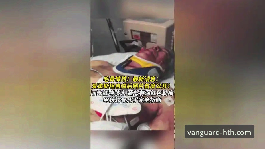 资深用户评测：从帕尼切利重伤事件看体育平台的信息深度与时效性